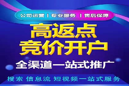 成功SEM托管代运营案例分析