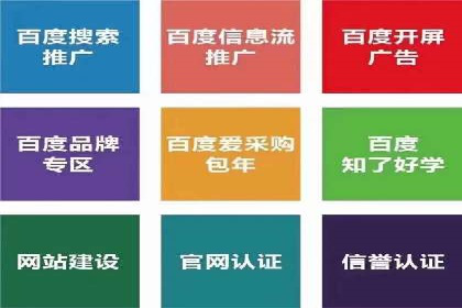 某SEM主管的跨平台广告投放策略与成果